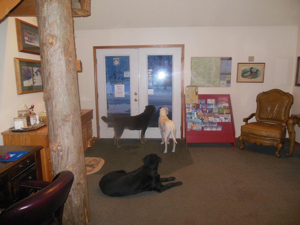 Clark Fork Lodge Екстериор снимка