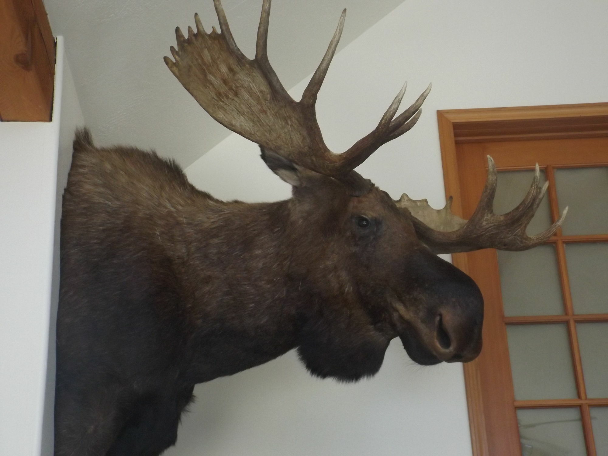 Clark Fork Lodge Екстериор снимка